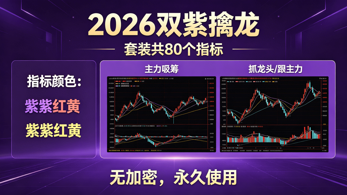 【2026双紫擒龙】套装共80个指标 紫紫红黄 ,主力吸筹, 抓龙头,跟主力 无加密,永久使用